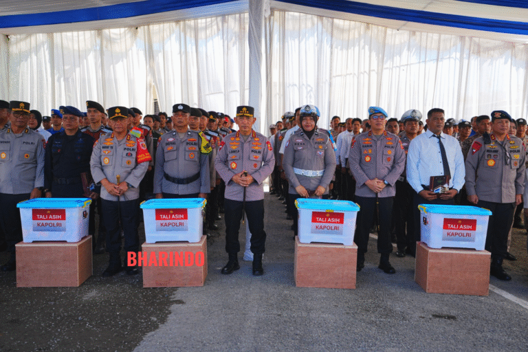 bb8ddd4e-9cf8-4e48-ad60-8f127758c3a5_23941