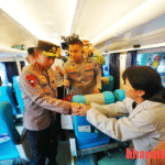 e64101d0-92bb-41c1-80e8-edbfa0af8d65_527158 (1)