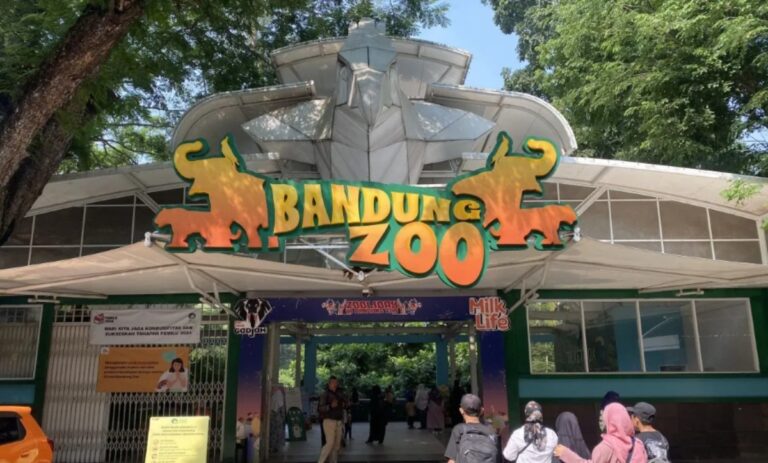 image - 2025-12-01T212324.714