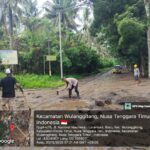 image - 2025-12-04T115454.052