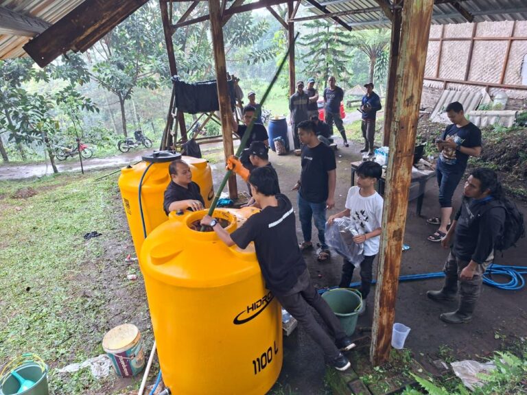 image - 2025-12-04T115921.869