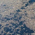 image - 2025-12-04T120716.699