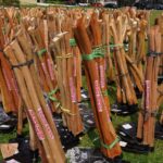 image - 2025-12-05T194046.116