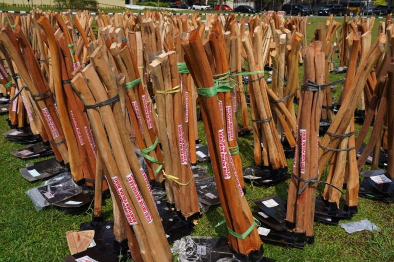 image - 2025-12-05T194046.116