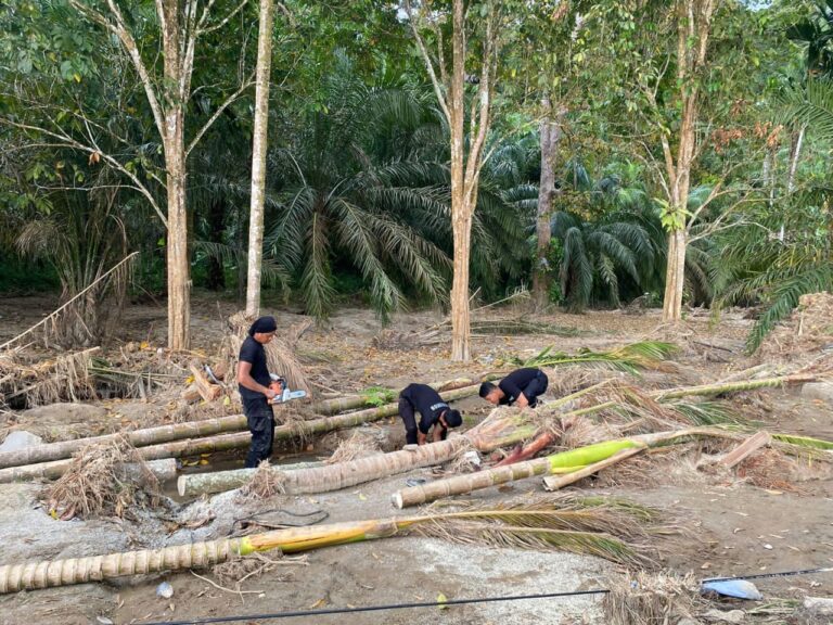 image - 2025-12-06T231917.687