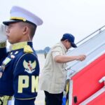 image - 2025-12-07T185411.225