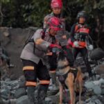 image - 2025-12-08T160904.468