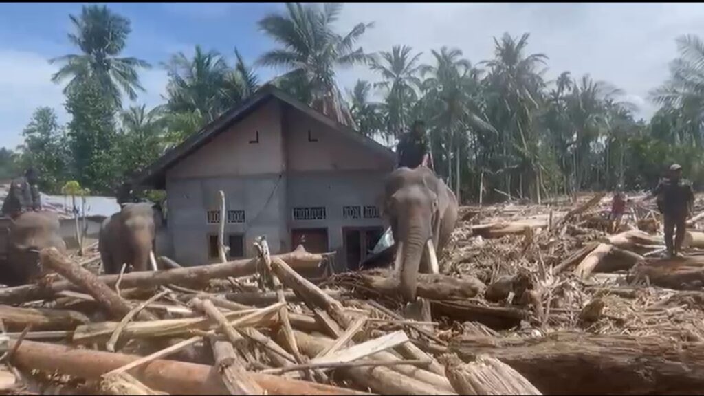 image - 2025-12-08T233814.505