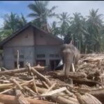 image - 2025-12-08T233814.505