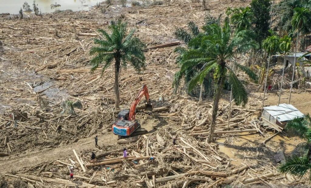 image - 2025-12-11T105413.942