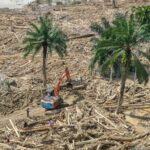 image - 2025-12-11T105413.942