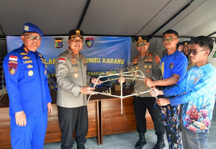 image - 2025-12-12T195659.086