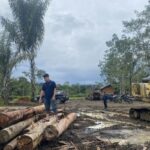 image - 2025-12-12T195940.265