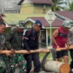 image - 2025-12-16T193229.601