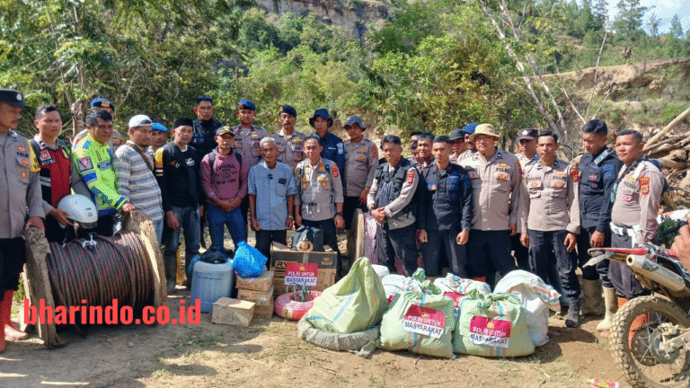 7b0d09ad-4df6-4ac5-b576-27f4366dd6ab_31155