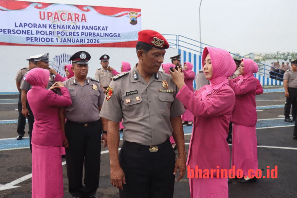 WhatsApp Image 2026-01-01 at 15.45.39 (1)