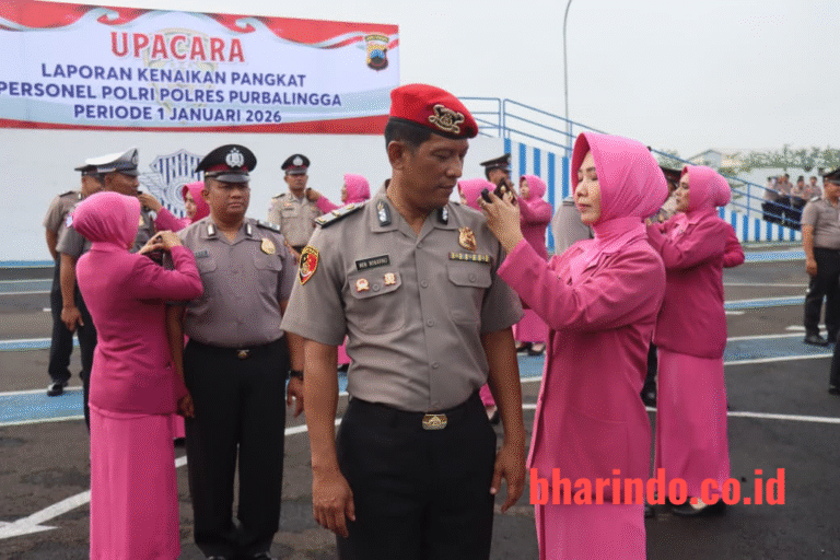 WhatsApp Image 2026-01-01 at 15.45.39 (1)