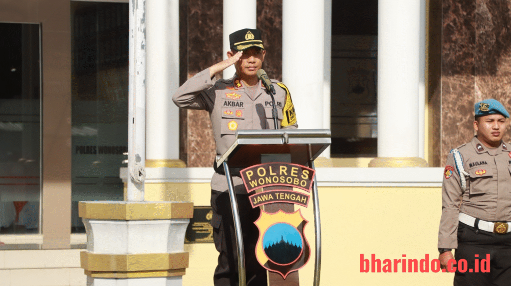 WhatsApp Image 2026-01-02 at 12.52.06