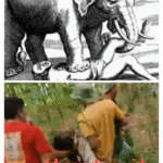 WhatsApp Image 2026-01-02 at 14.05.13