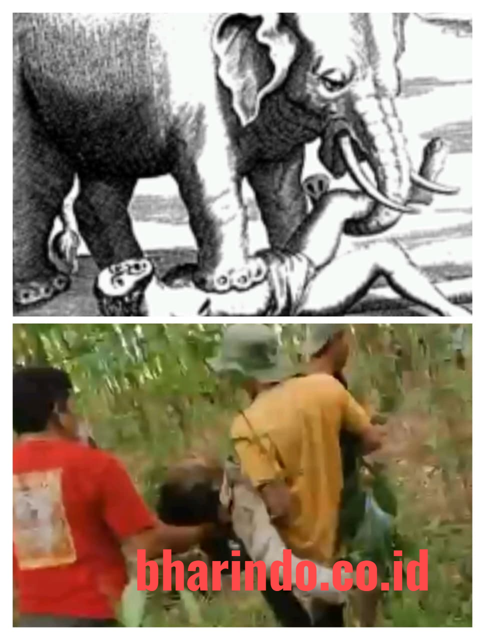 WhatsApp Image 2026-01-02 at 14.05.13