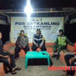 WhatsApp Image 2026-01-03 at 11.08.56