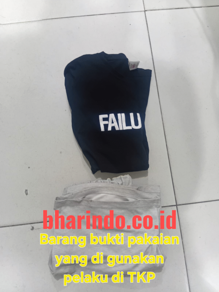 WhatsApp Image 2026-01-07 at 07.27.17