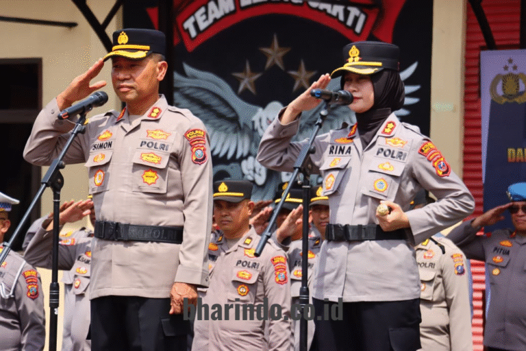 WhatsApp Image 2026-01-11 at 07.48.05