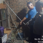 WhatsApp Image 2026-01-12 at 17.22.03