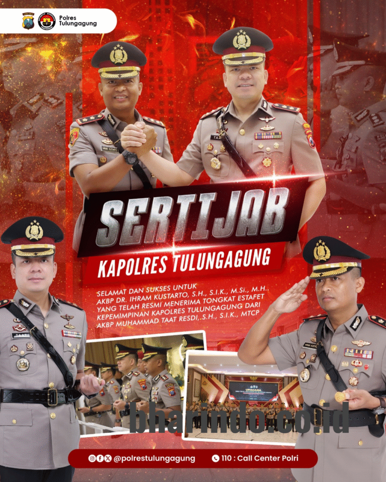 WhatsApp Image 2026-01-12 at 19.45.10