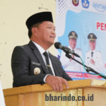 WhatsApp Image 2026-01-12 at 21.44.19