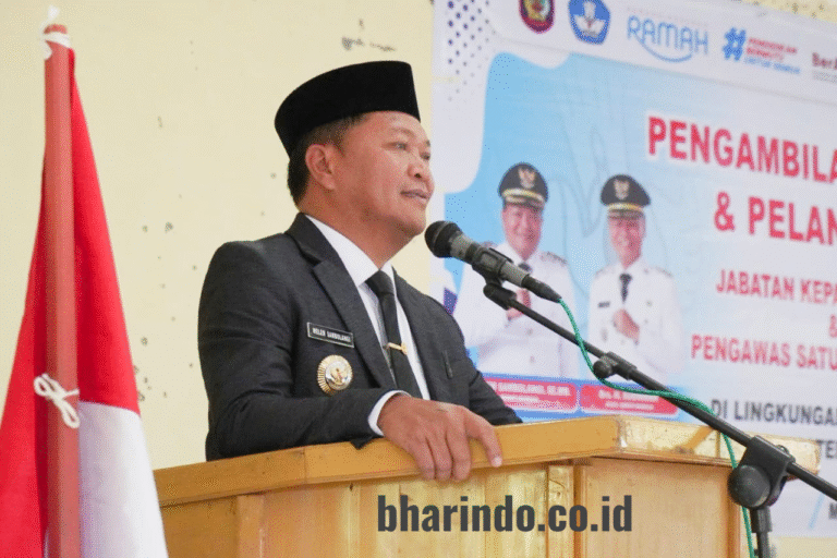 WhatsApp Image 2026-01-12 at 21.44.19