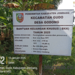 WhatsApp Image 2026-01-13 at 10.46.32