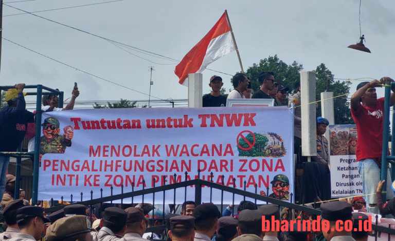 WhatsApp Image 2026-01-13 at 14.35.47