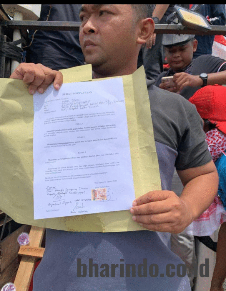 WhatsApp Image 2026-01-13 at 18.52.37