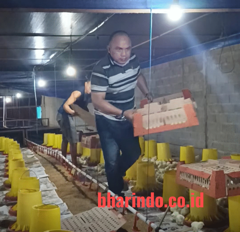 WhatsApp Image 2026-01-14 at 11.55.47