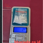 WhatsApp Image 2026-01-14 at 23.13.09