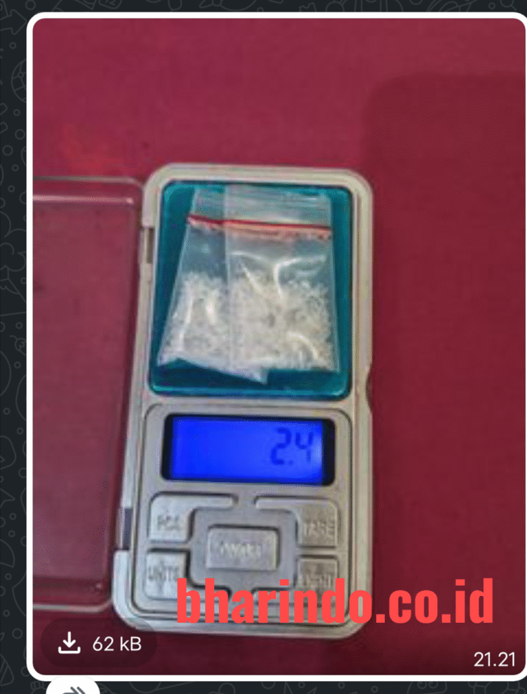 WhatsApp Image 2026-01-14 at 23.13.09