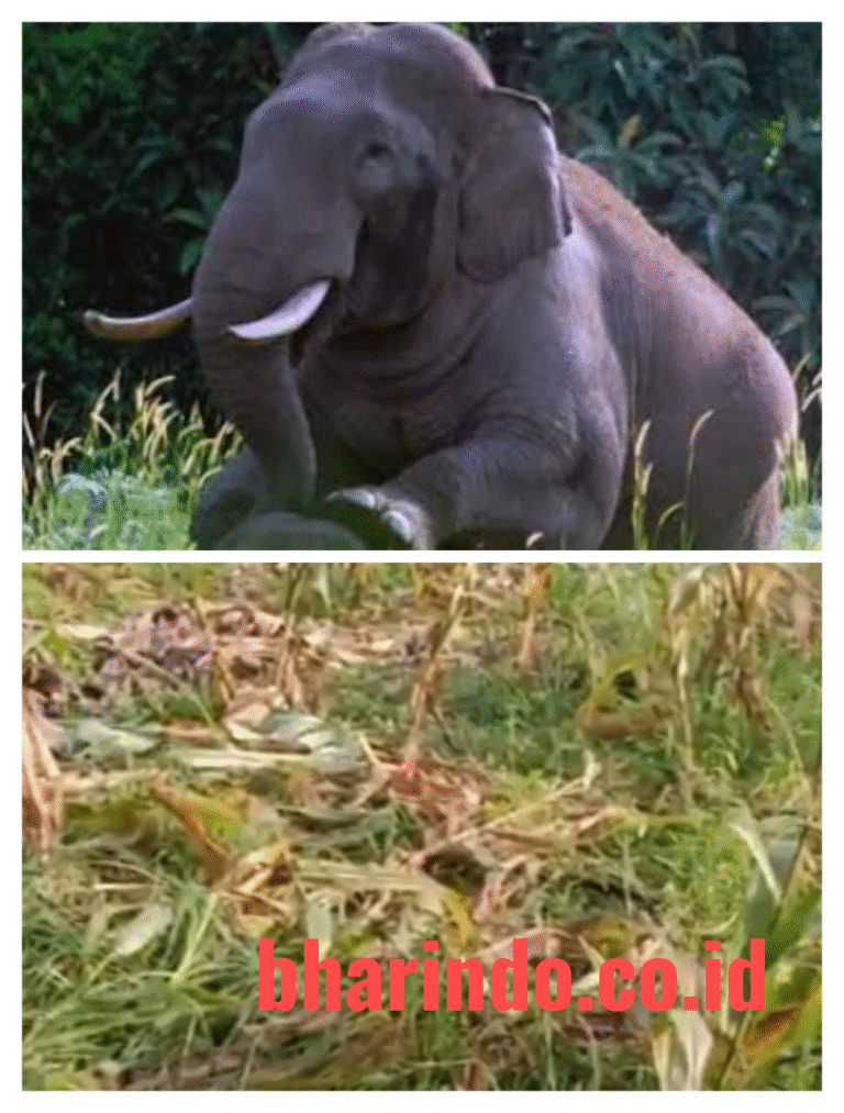 WhatsApp Image 2026-01-15 at 10.11.42