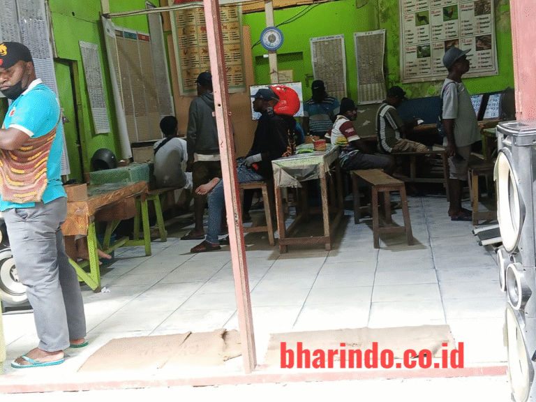 WhatsApp Image 2026-01-15 at 12.02.56