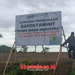 Pantauan tim wartawan di lokasi, Kamis (15/1/2026).