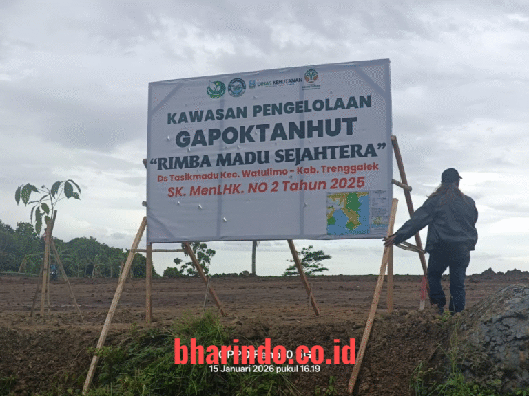 Pantauan tim wartawan di lokasi, Kamis (15/1/2026).