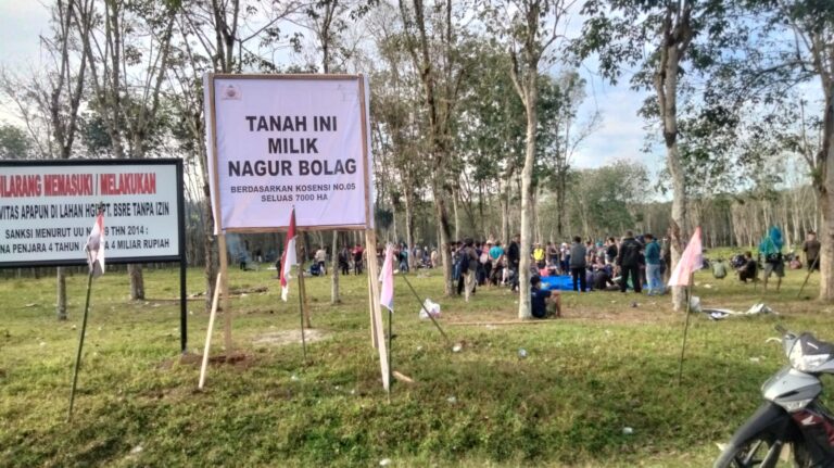 WhatsApp Image 2026-01-20 at 09.25.04 (1)