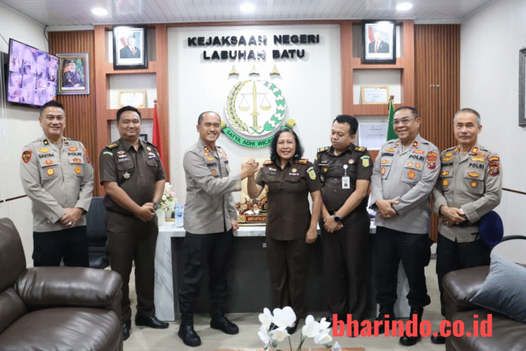 WhatsApp Image 2026-01-20 at 18.07.40