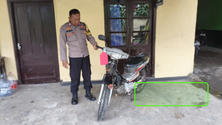 WhatsApp Image 2026-01-21 at 10.51.37