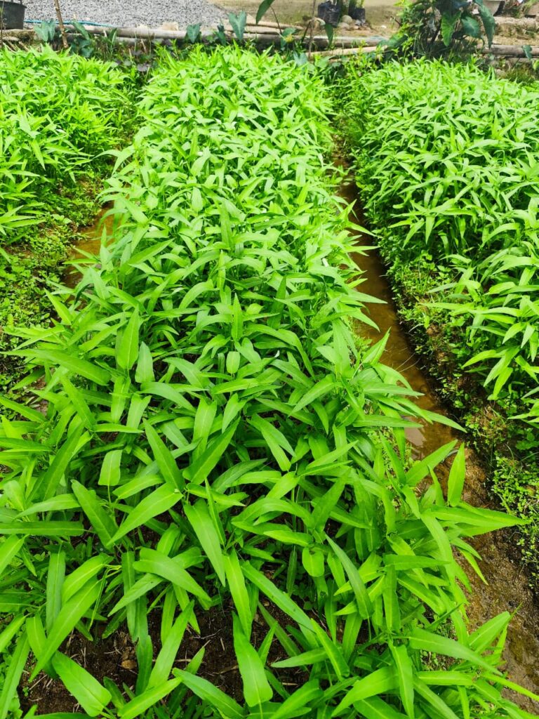 WhatsApp Image 2026-01-23 at 03.22.41