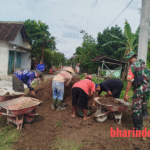 WhatsApp Image 2026-01-26 at 14.36.35