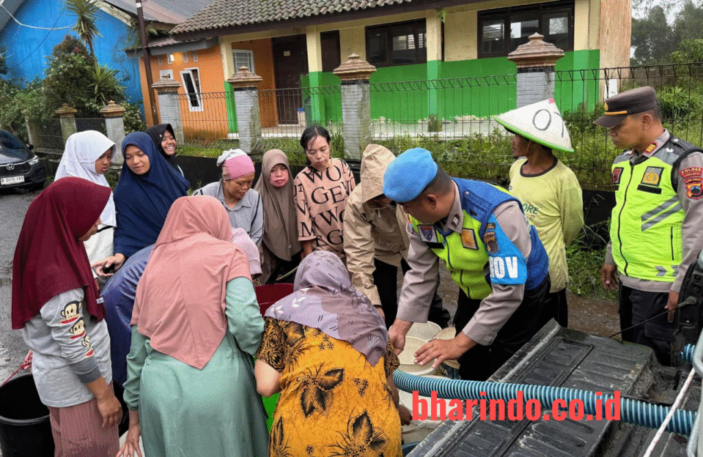 WhatsApp Image 2026-01-27 at 16.49.04 (2)