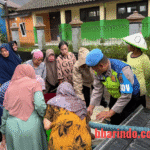 WhatsApp Image 2026-01-27 at 16.49.04 (2)