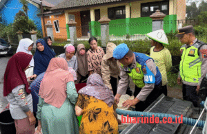 WhatsApp Image 2026-01-27 at 16.49.04 (2)