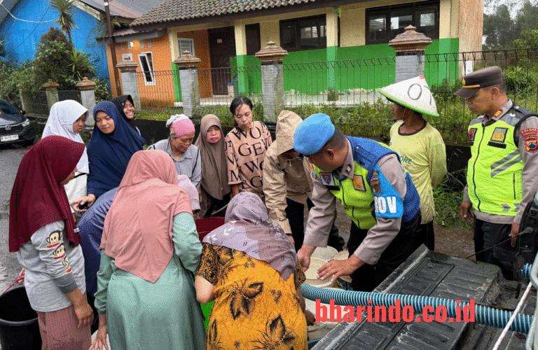 WhatsApp Image 2026-01-27 at 16.49.04 (2)